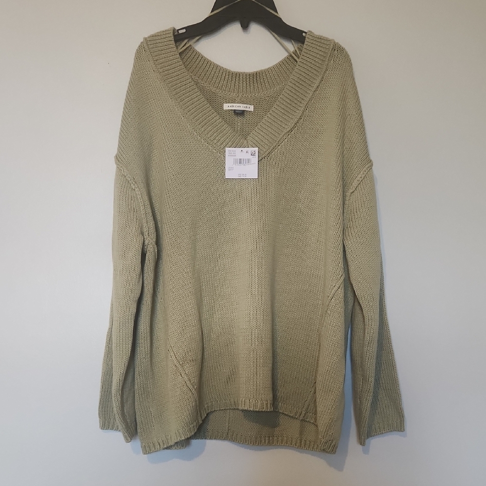 American Eagle Outfitters Sage V-Neck Sweater